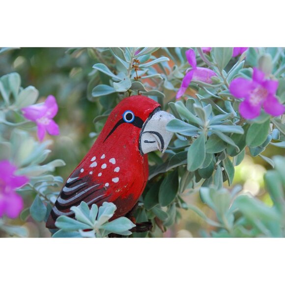 Nikon D80 Outfit SLR Digital Camera 10.2MP 18-135mm Lens 11,790 Clicks 32GB SD - Picture 7 of 16